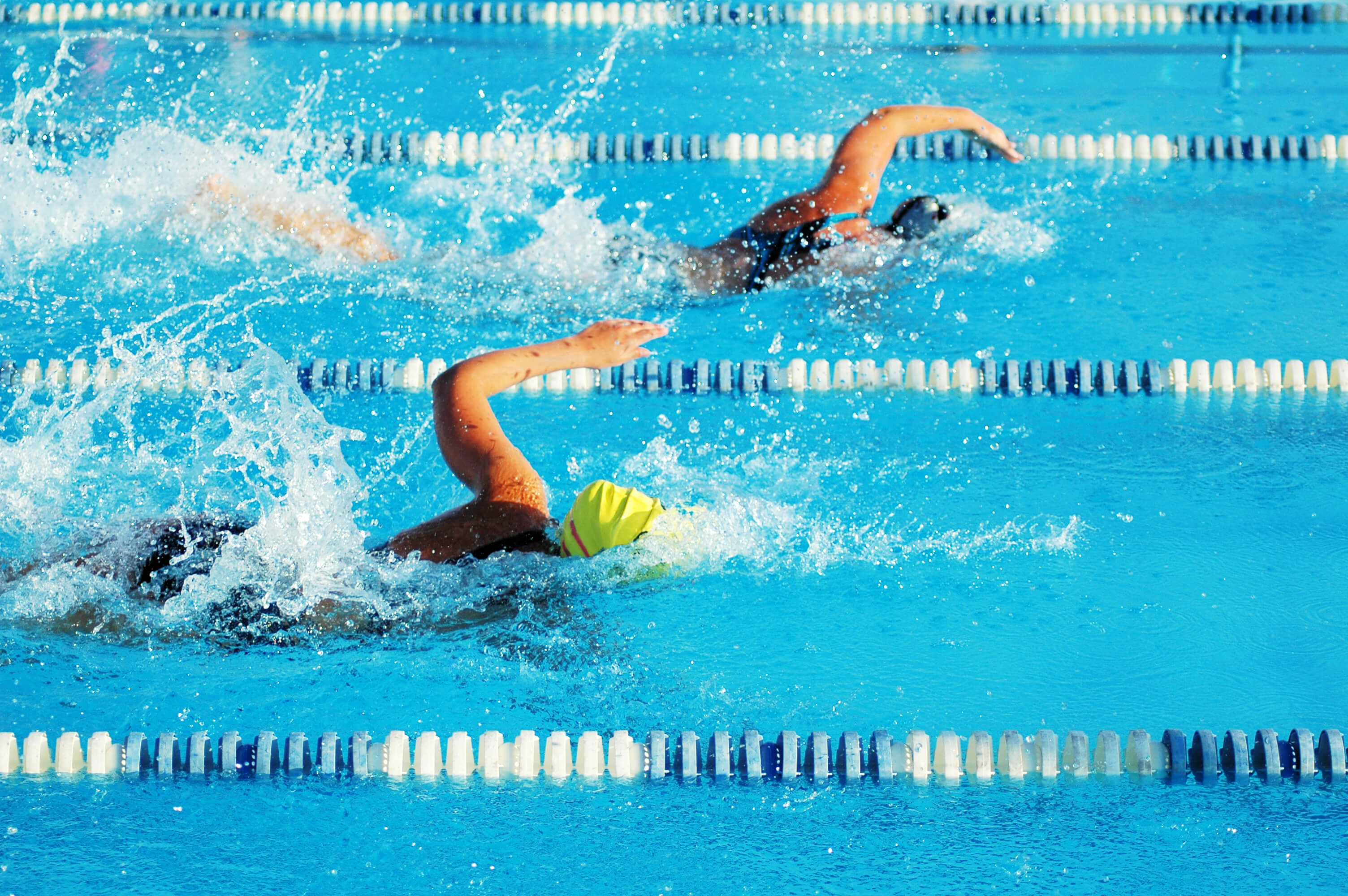 Swimming race Female athletes competing in a swimming race, as seen from above.