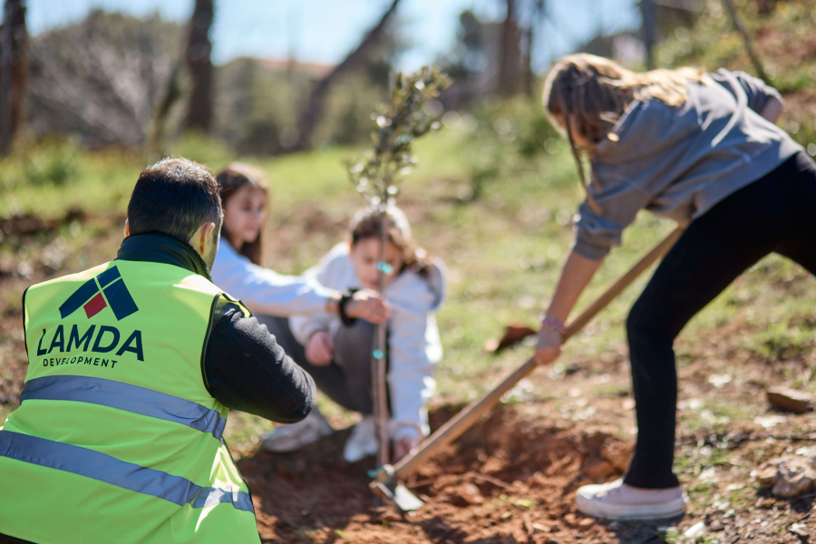 3 young girls planting 1 tree. A man in a LAMDA Development vest squatting in front of them.