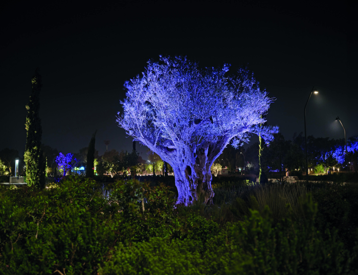 Νίκος Κοντοσταυλάκης, The Ellinikon Experience Park 