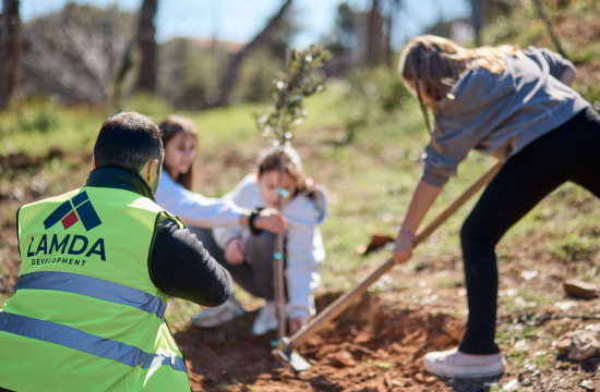 3 μαθήτριες φυτεύουν 1 δέντρο. Μπροστά άντρας καθιστός φορά γιλέκο που γράφει LAMDA Development στην πλάτη.
