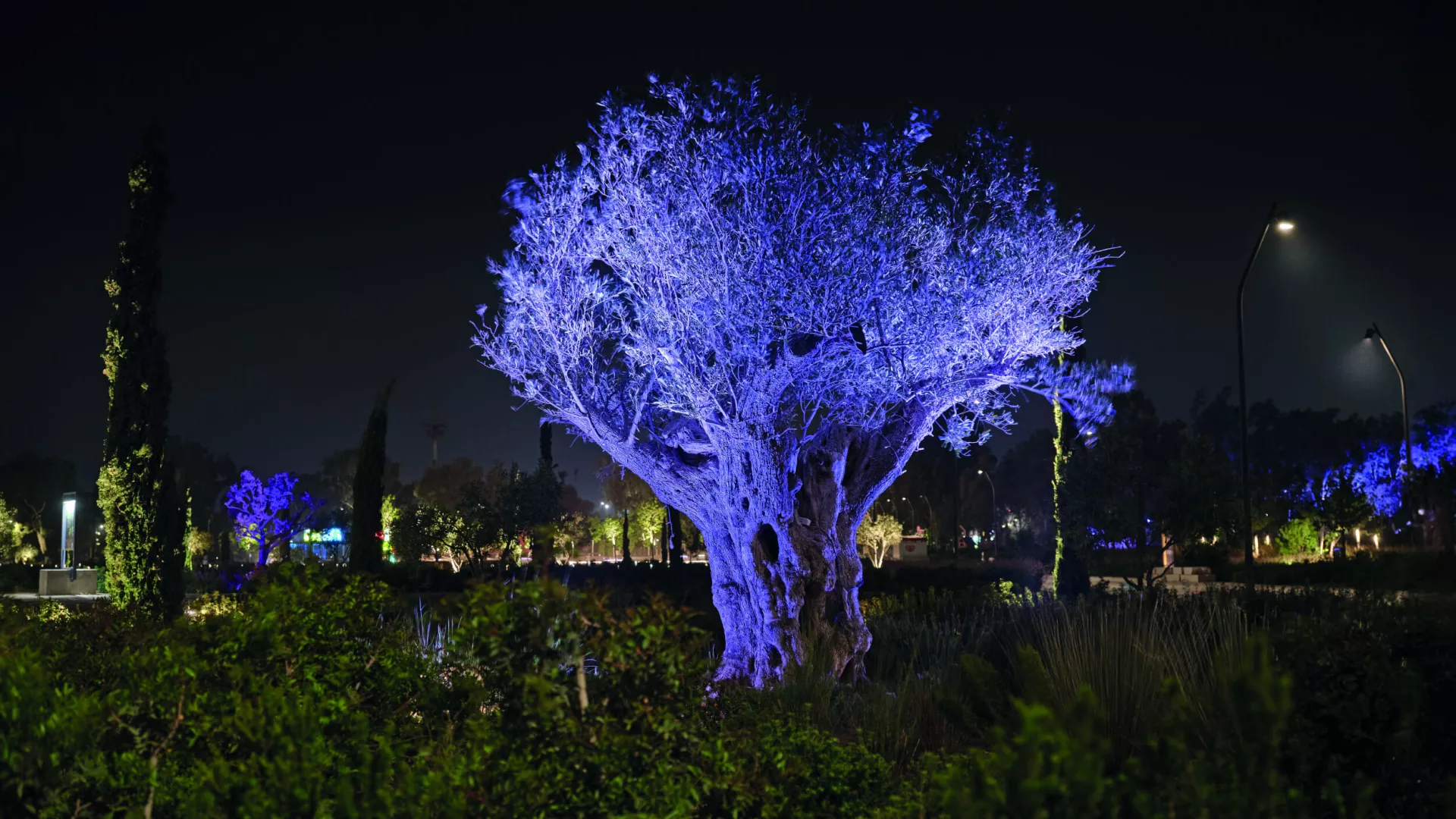 Νίκος Κοντοσταυλάκης, The Ellinikon Experience Park 