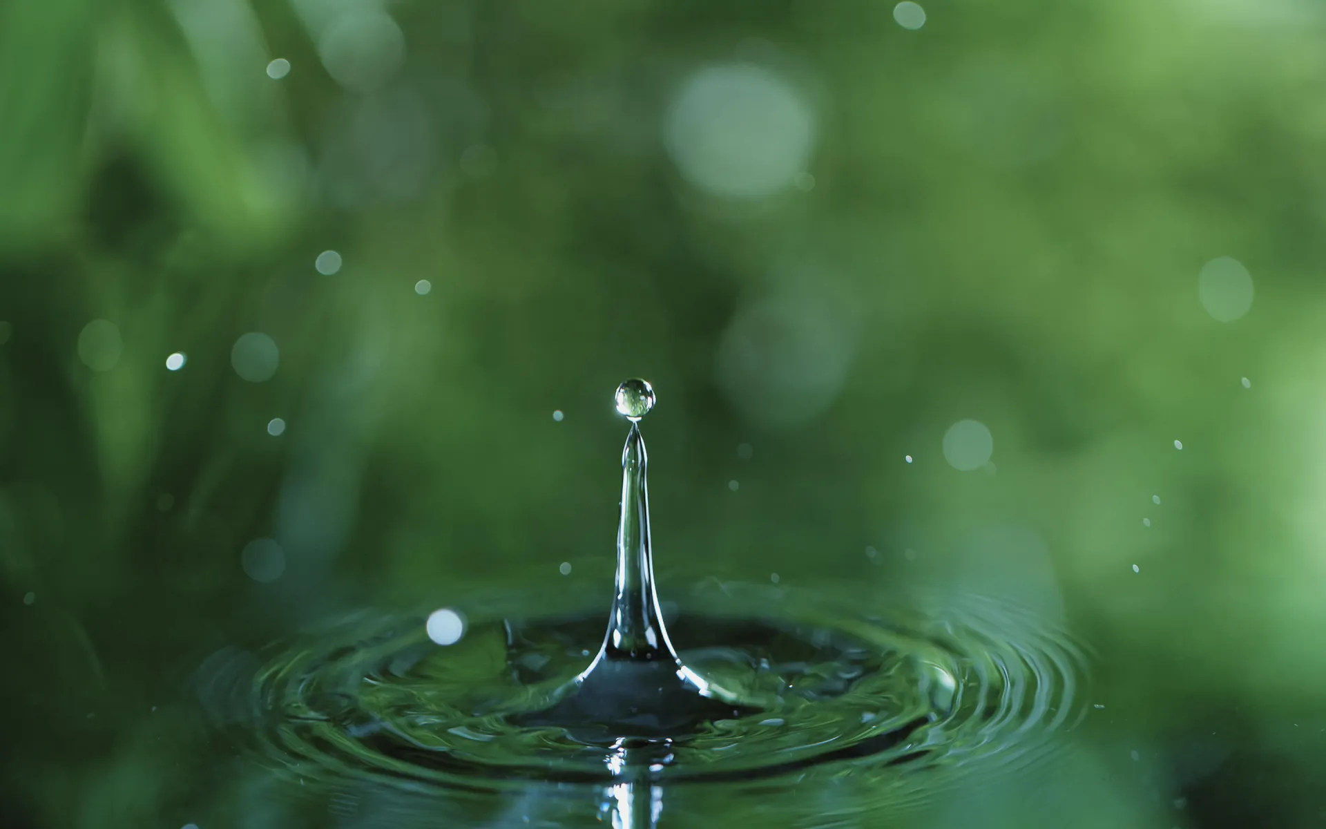 Πώς θα ποτίζονται όλα αυτά τα φυτά;