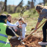 3 μαθήτριες φυτεύουν 1 δέντρο. Μπροστά άντρας καθιστός φορά γιλέκο που γράφει LAMDA Development στην πλάτη.